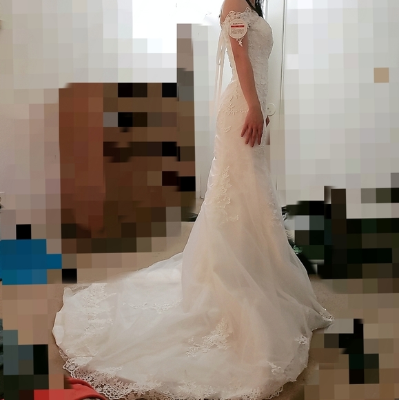 Brand NEW Wedding dress, with tags!!! - Picture 9 of 11